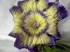 DS Purple Sun (2)