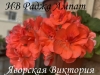 ИВ Раджа Ампат4